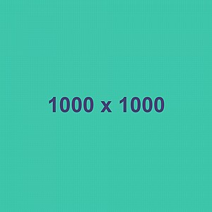 ���� ����� �� �� �������� ���